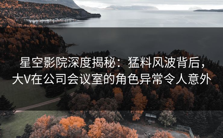 星空影院深度揭秘：猛料风波背后，大V在公司会议室的角色异常令人意外