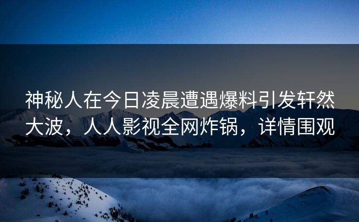 神秘人在今日凌晨遭遇爆料引发轩然大波，人人影视全网炸锅，详情围观